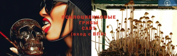 прущий лед Шадринск