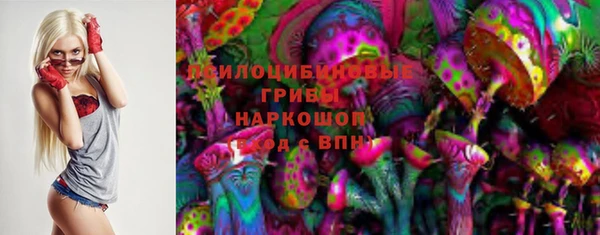 соль ск Гусь-Хрустальный