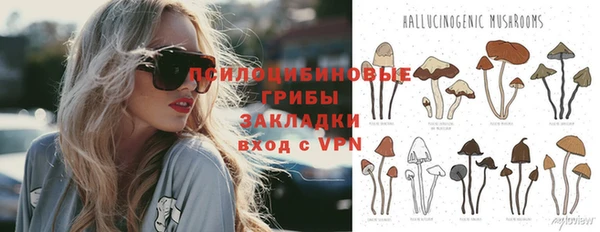 соль ск Гусь-Хрустальный