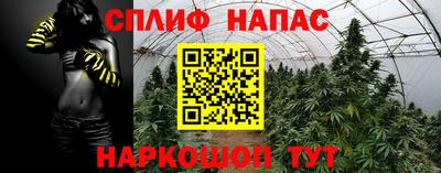 гашик Волжск