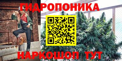 гашик Волжск