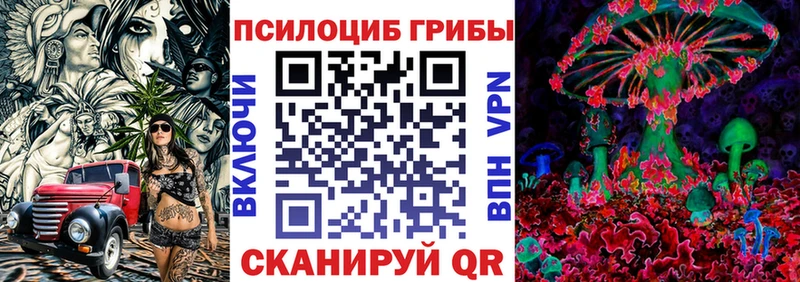 Галлюциногенные грибы GOLDEN TEACHER  где купить наркотик  Гудермес 