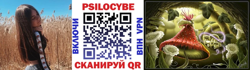 Псилоцибиновые грибы Magic Shrooms Гудермес