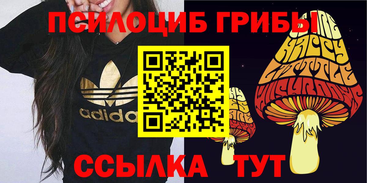 Псилоцибиновые грибы мицелий Гудермес