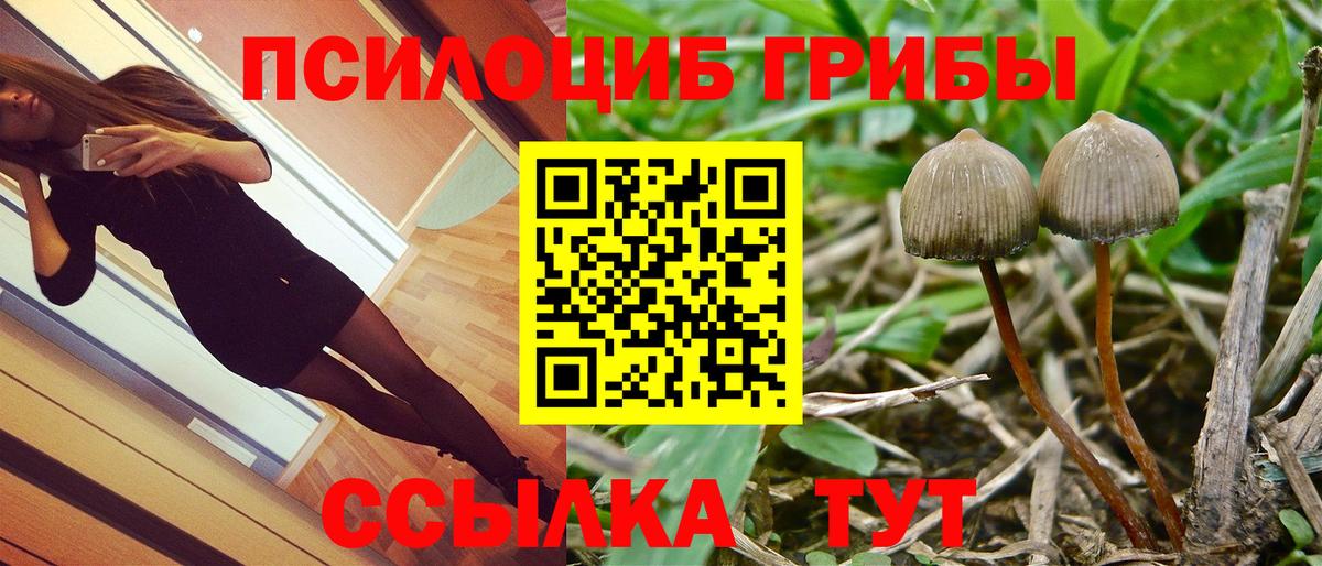Гудермес  Галлюциногенные грибы Magic Shrooms  где продают   Вход с VPN 